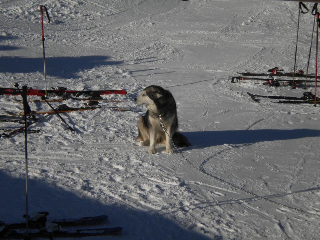 Rifugio Baita Belvedere Champoluc Eksteriør bilde